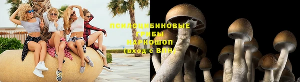 a pvp Баксан