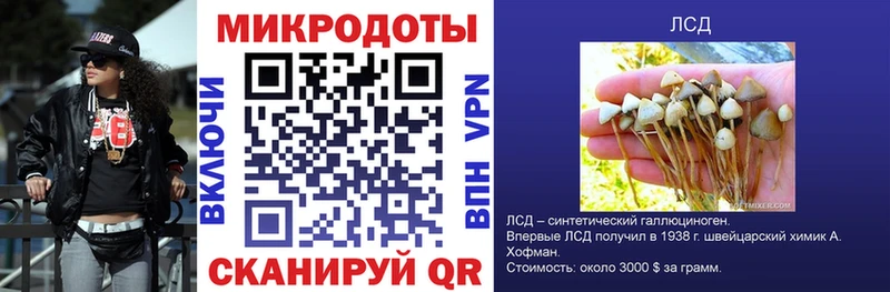 KRAKEN как зайти  Горбатов  Псилоцибиновые грибы GOLDEN TEACHER  купить наркотик 
